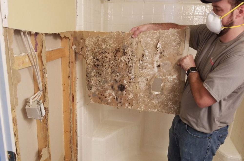 Mold in Walls - Family Health and Safety Hazard
