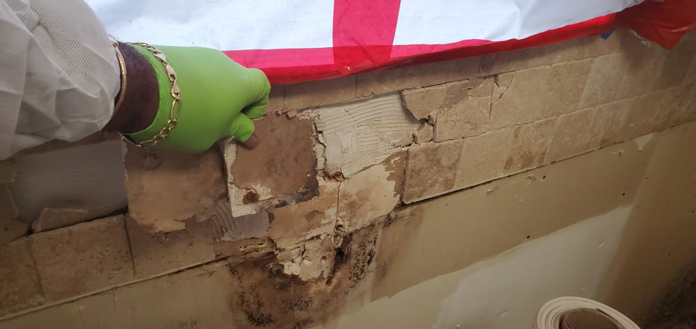 Mold on Walls - Remediation and Removal