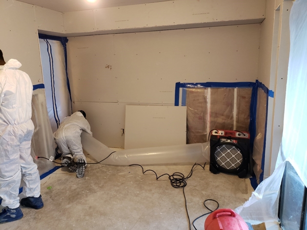 Mold remediation team - Service Team of Professionals Forth Worth South