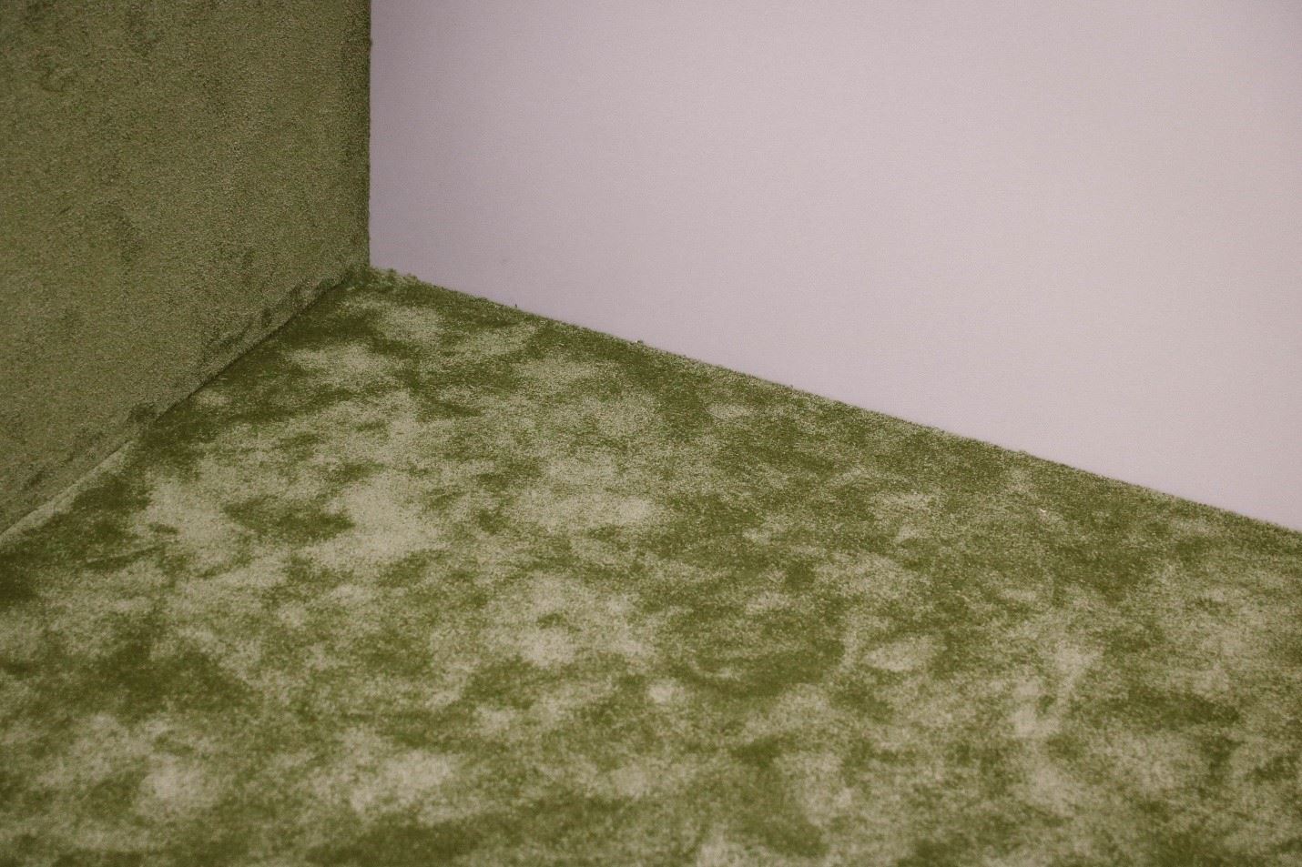 Mesa, AZ Inspect Your Carpet for Mold Growth Home Restoration News