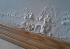 bubbling drywall from water damage 