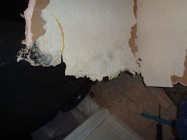 Health Effects Of Mold And Asbestos Mportant That You Have A Professional Clean Up Any Water Damage Or Leaks As Soon They Re Discovered Mold Can Also Form In Your Carpet Drywall