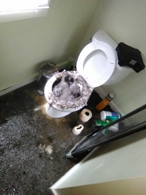 toilet overflowing toilet overflowing