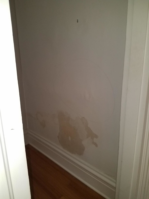 Water damage stain on wall