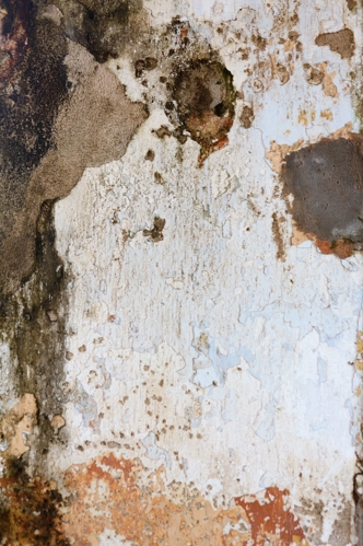 Wall with Mold