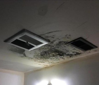 More mold damage to ceiling