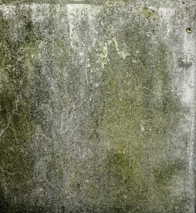Wall with mold Wall with mold