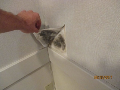 What Is a Mitigation Contractor? - STOP Restoration Winston Salem