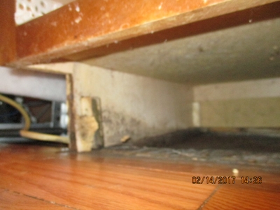 Water Damage In Your Kitchen Can Ruin The Day - Winston-Salem