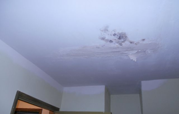 Ceiling Mold Ceiling Mold