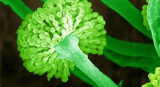 This is a Test Photo