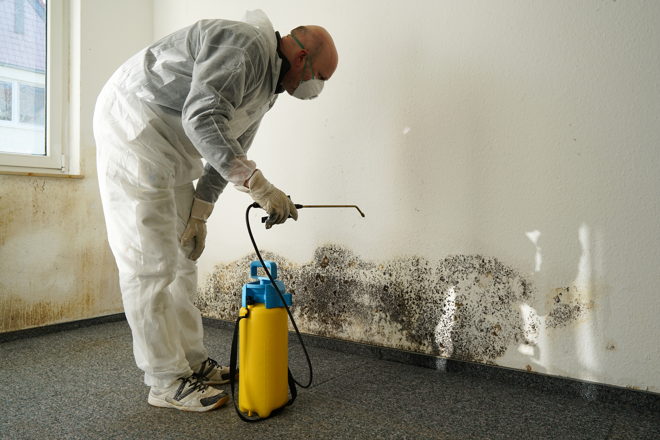 Commercial Mold Damage & Remediation - Man Removing Mold