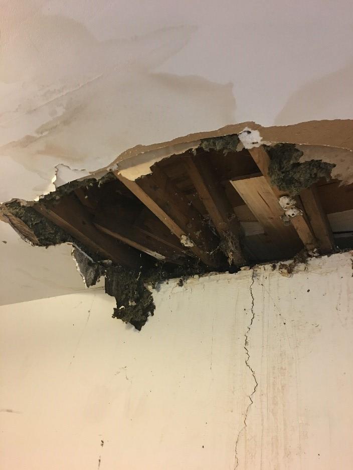 April 2020 STOP Restoration Blog