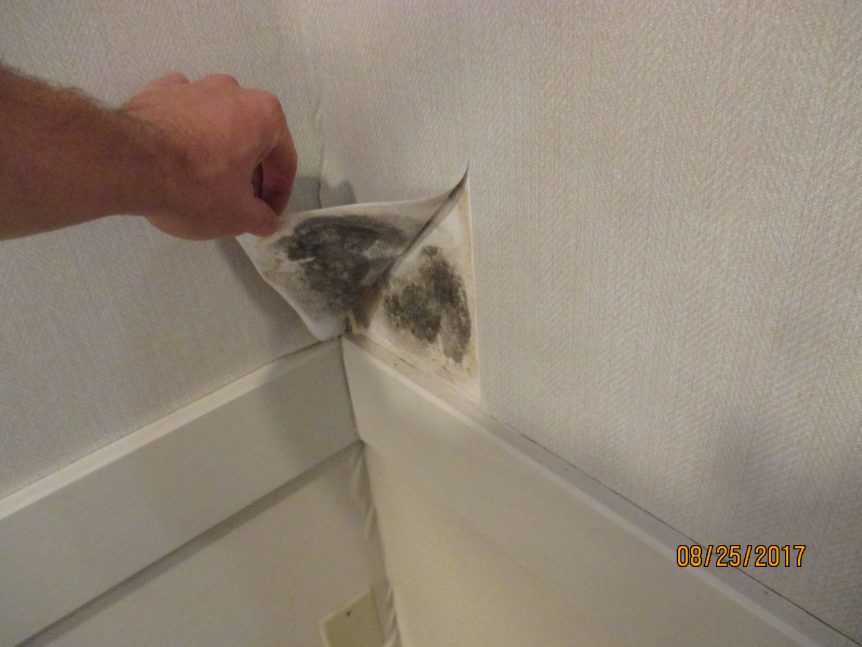 What Is a Mitigation Contractor? STOP Restoration Winston Salem