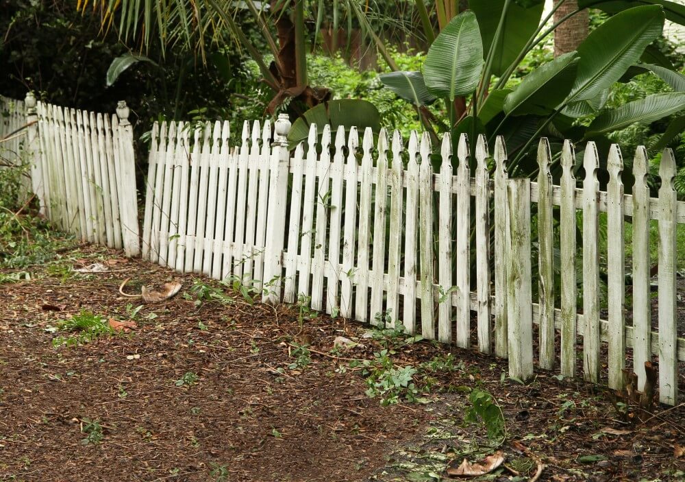 Exterior fence in disrepair