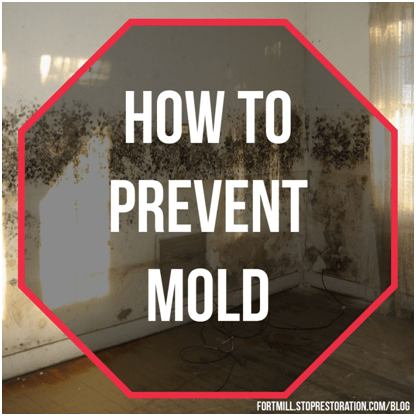 Mold Prevention 