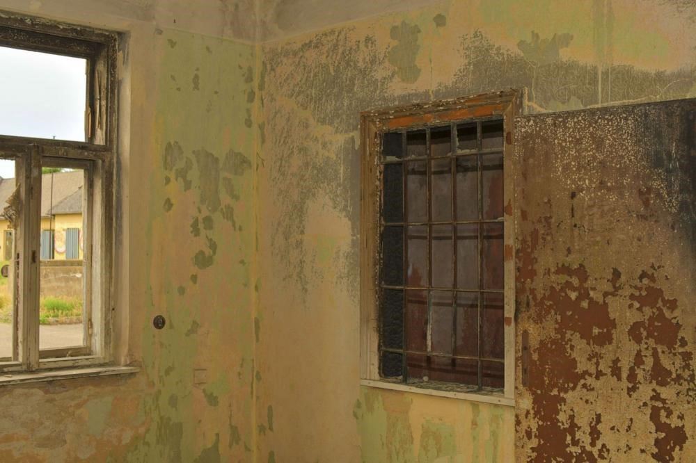How to Urgently Stop the Mold Growth in Your Home from Spreading