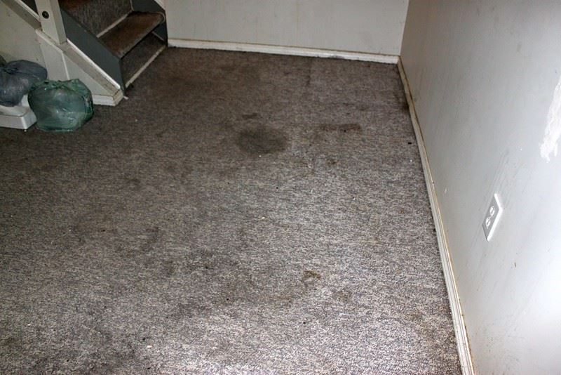 Flooded Basement Carpet, What To Do With Flooded Basement Carpet