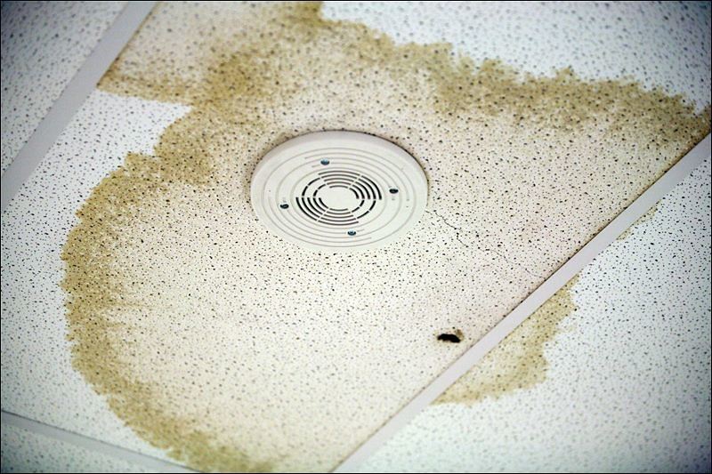 leaking lekkage humedad herkent downriver attic efficiently opsporen gericht lekdetectie