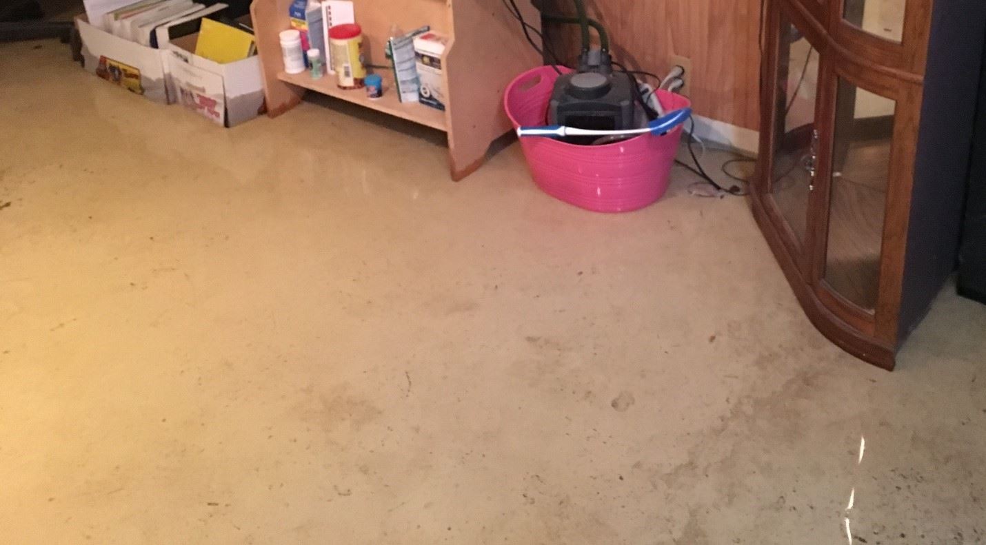 Floor with Water Damage Floor with Water Damage