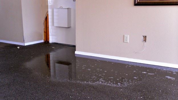 Mold To Grow On Wet Carpet, How To Treat Wet Basement Carpet
