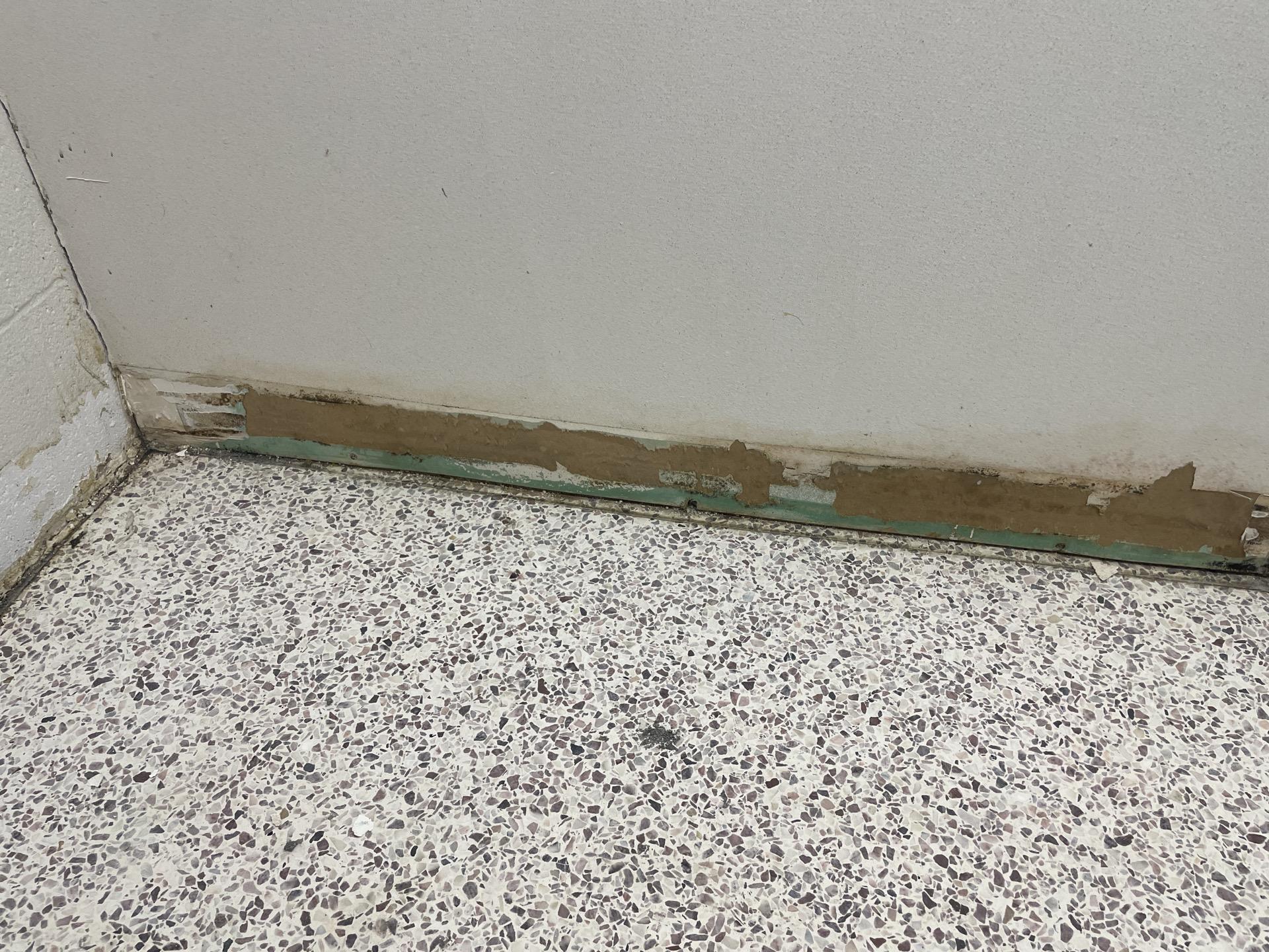 floor