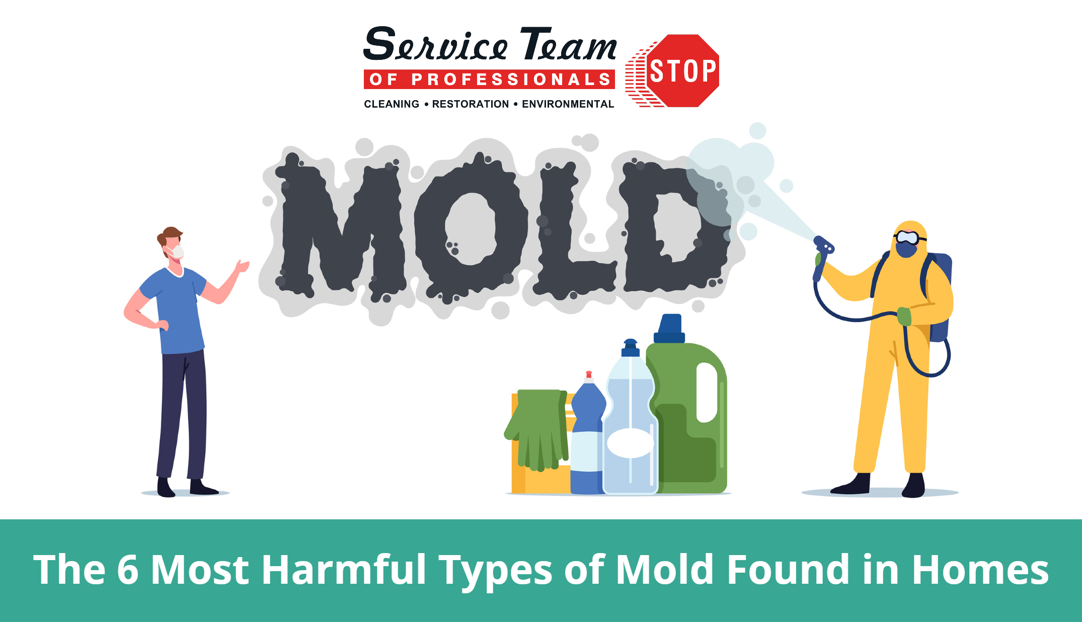 The 6 Most Harmful Types of Mold Found in Homes STOP Restoration