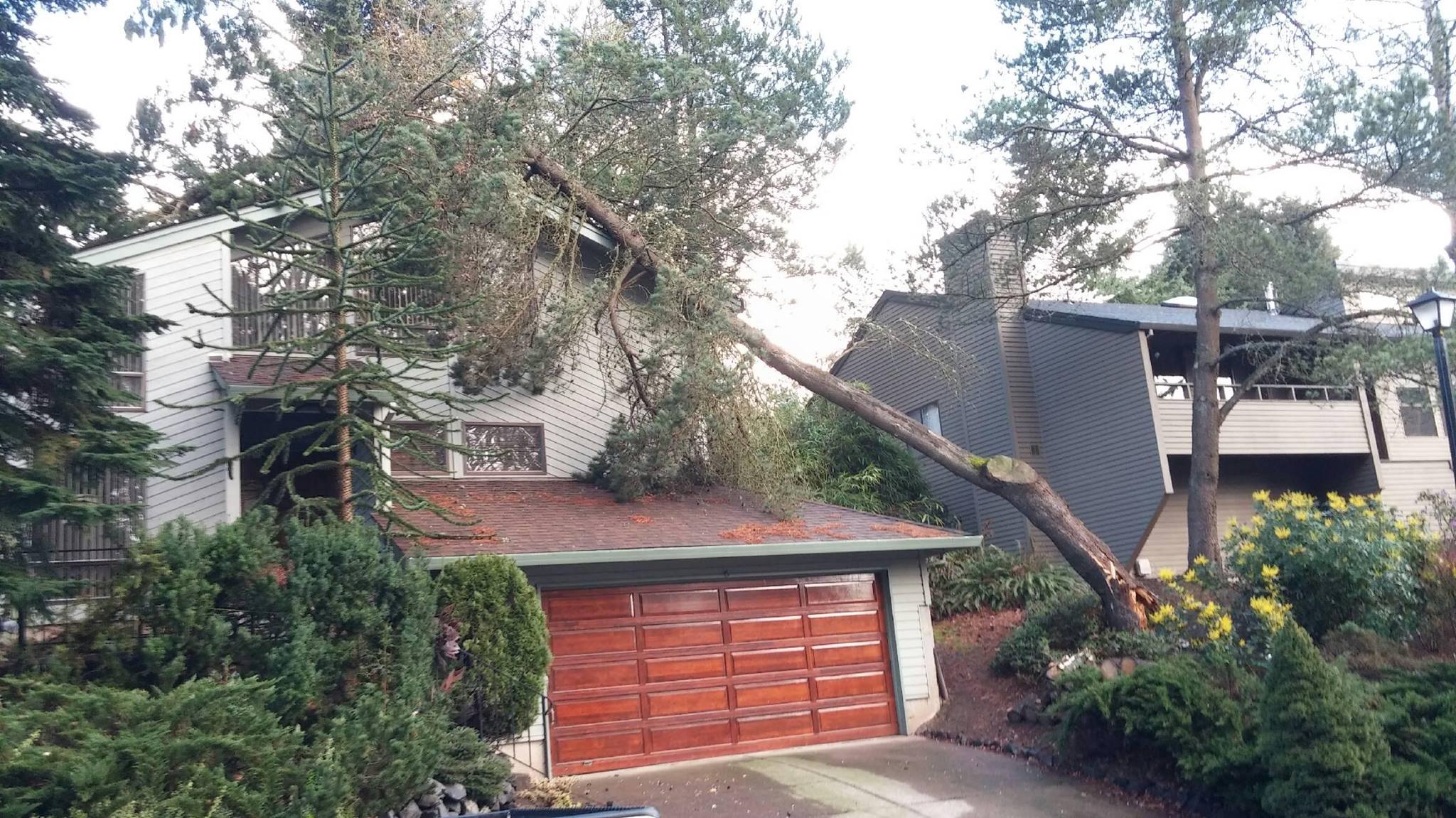 Tree fallen on house after heavy winds