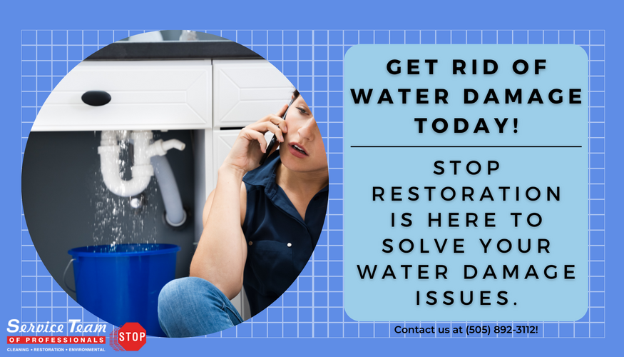 STOP Restoration Blog September 2022