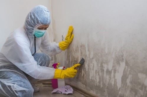 worker wearing protective clothing cleaning a dirty wall