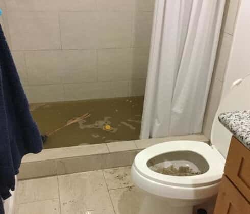 sewage overflow in shower and toilet