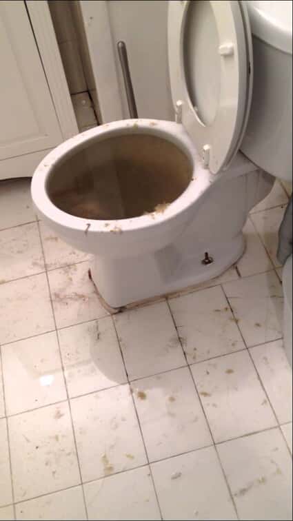 toilet overflow