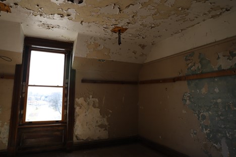 walls and roof with crippling paint due to mold and mildew infestation