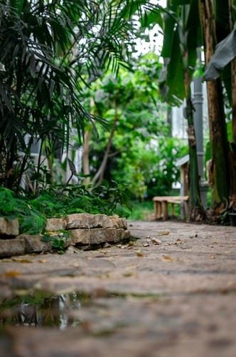 water seeping from stone path