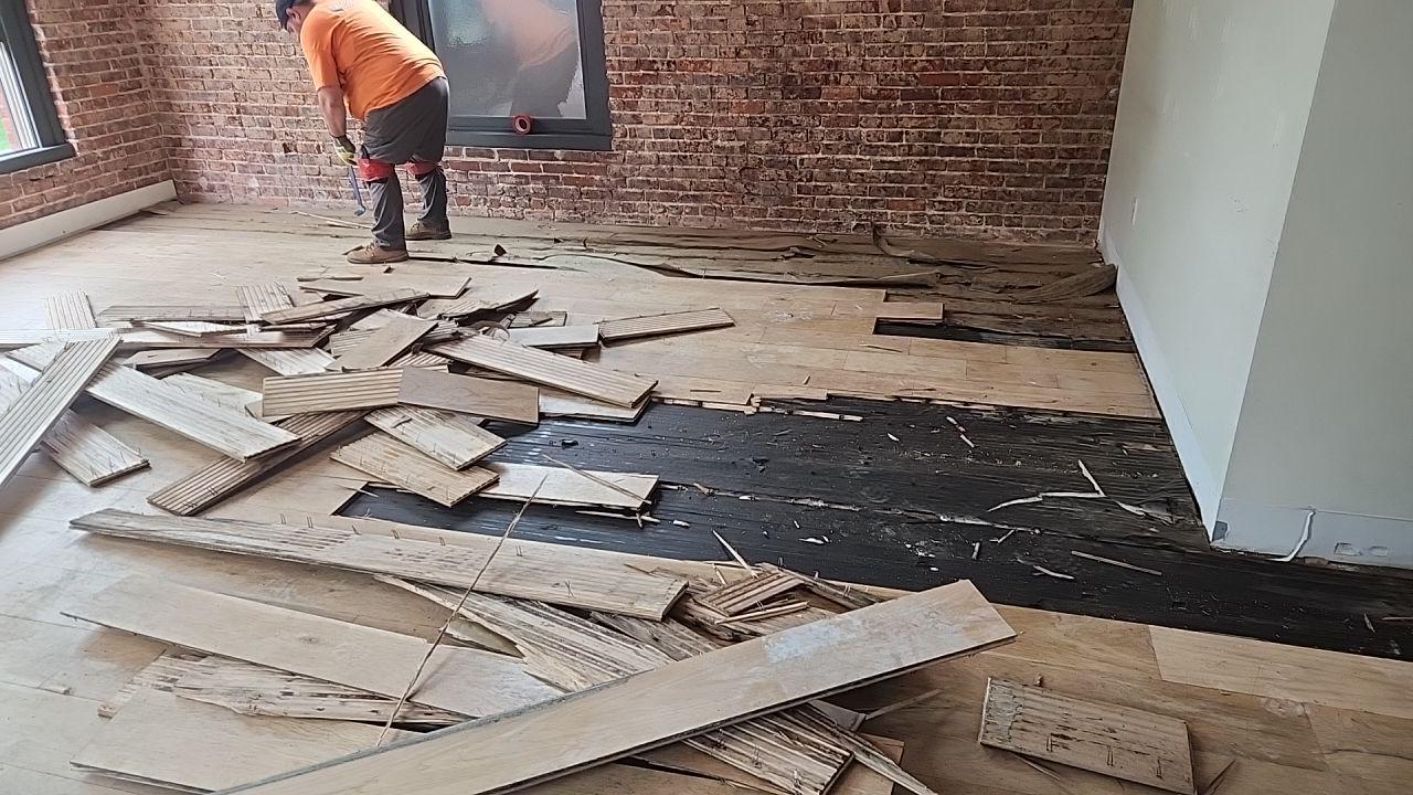 floor reno